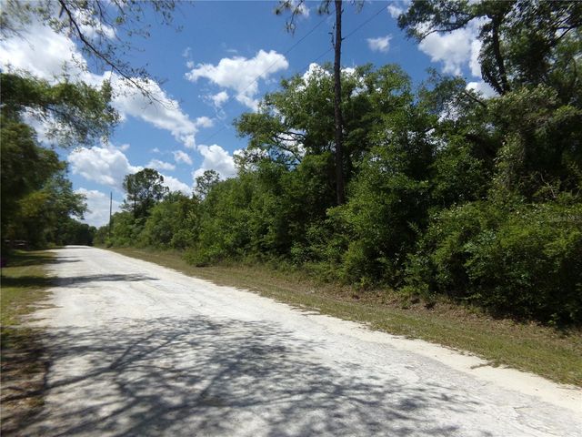 KNOXVILLE DRIVE, Webster, FL 33597