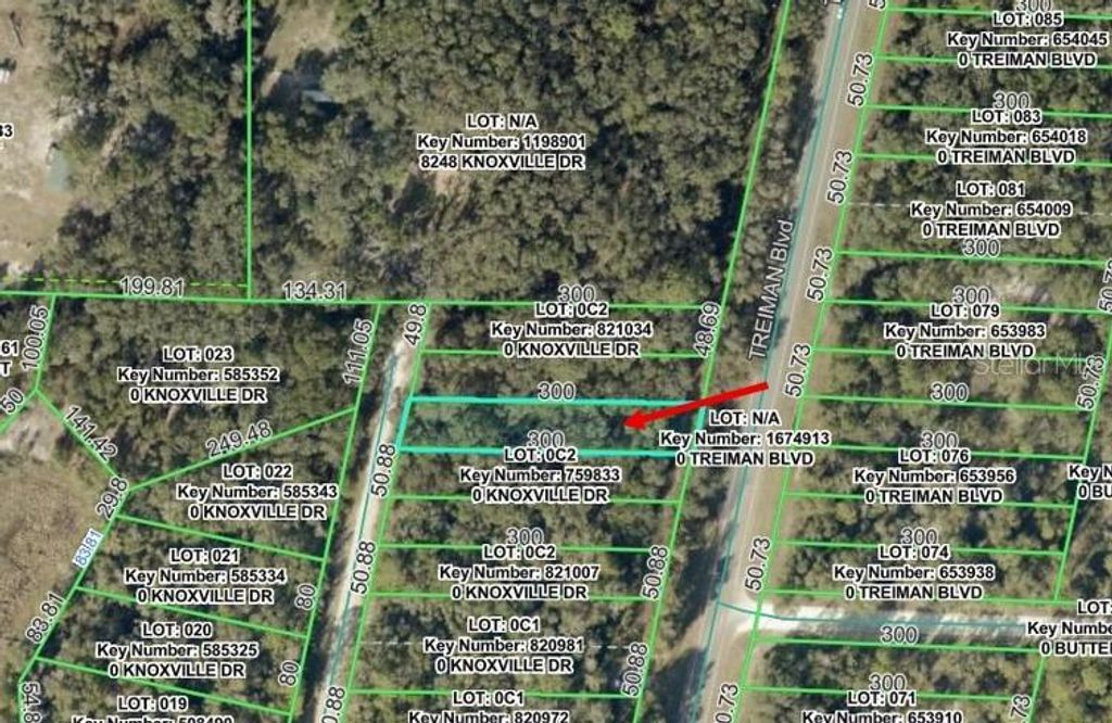 KNOXVILLE DRIVE, Webster, FL 33597