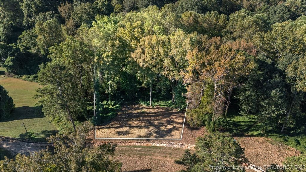 0 Fire Department Road, Wilsons Mills, NC 27527