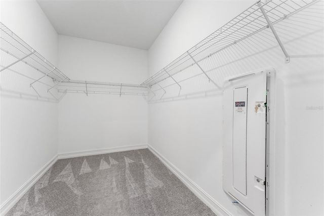 18255 SERENE LAKE LOOP, Lutz, FL 33548