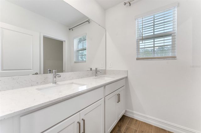 18255 SERENE LAKE LOOP, Lutz, FL 33548