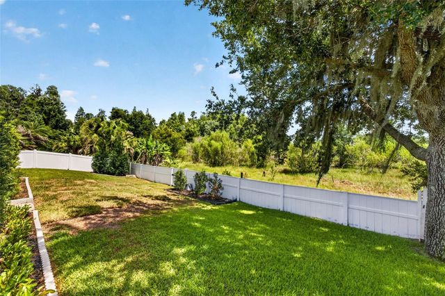 31218 ALCHESTER, Wesley Chapel, FL 33543