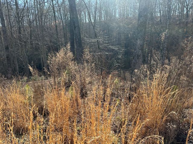 77 River Overlook Lane S, Ellijay, GA 30540