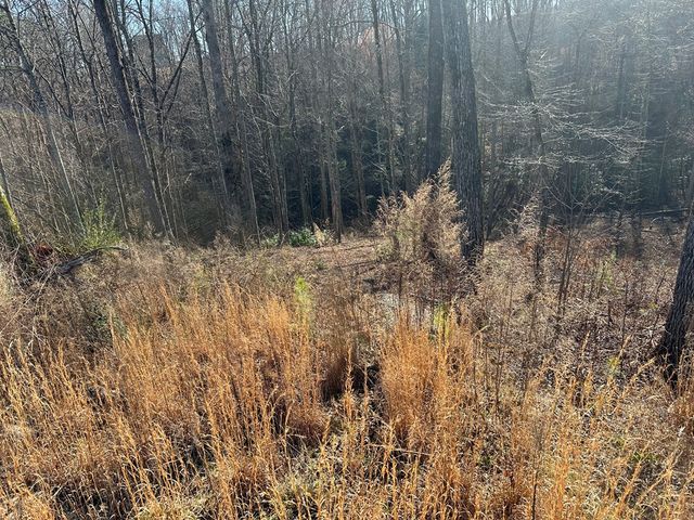 77 River Overlook Lane S, Ellijay, GA 30540