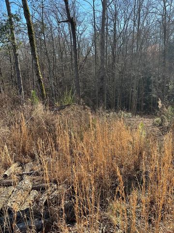 77 River Overlook Lane S, Ellijay, GA 30540