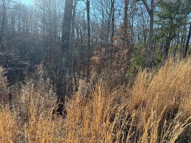 77 River Overlook Lane S, Ellijay, GA 30540