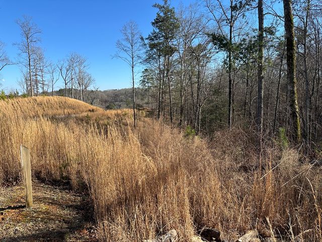 77 River Overlook Lane S, Ellijay, GA 30540