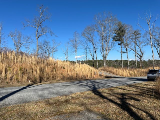77 River Overlook Lane S, Ellijay, GA 30540