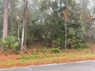0 SE 99TH AVENUE, Belleview, FL 34420