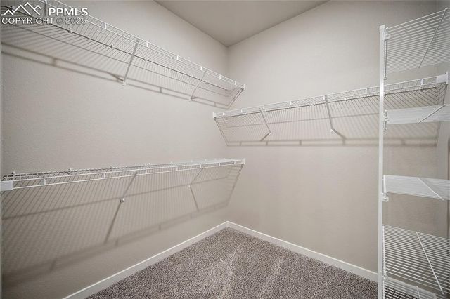 9157 Golden Buffs Drive, Colorado Springs, CO 80925