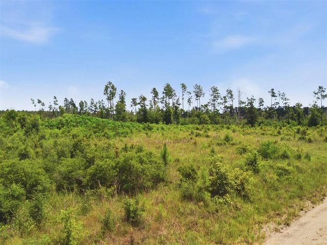 Elroy Sittig Road, Ragley, LA 70652