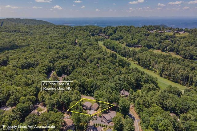 81 Pine Tree Drive, Roaring Gap, NC 28668