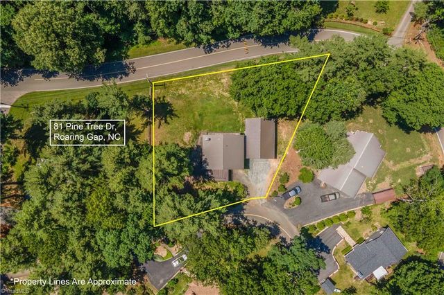 81 Pine Tree Drive, Roaring Gap, NC 28668