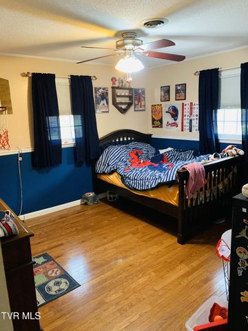 324 Bellehaven Drive, Bristol, VA 24201