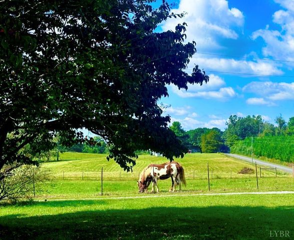 205 Hardtimes Road, Farmville, VA 23901