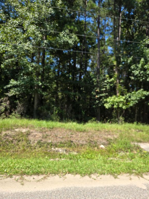 Lot 3 Freewoods Rd., Myrtle Beach, SC 29588 — photo 2