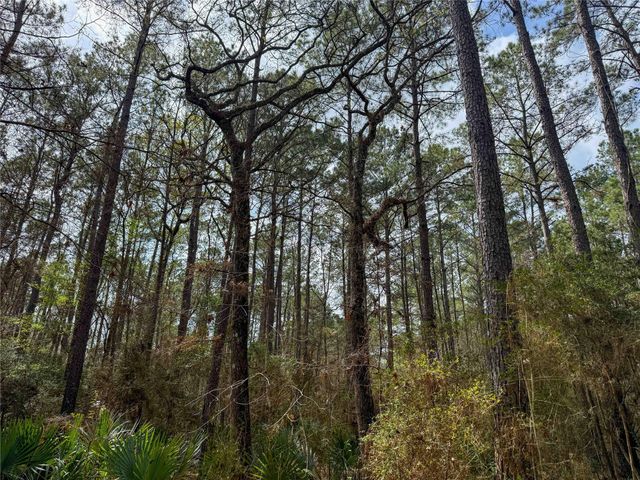 TBD County Rd 4876, Dayton, TX 77535