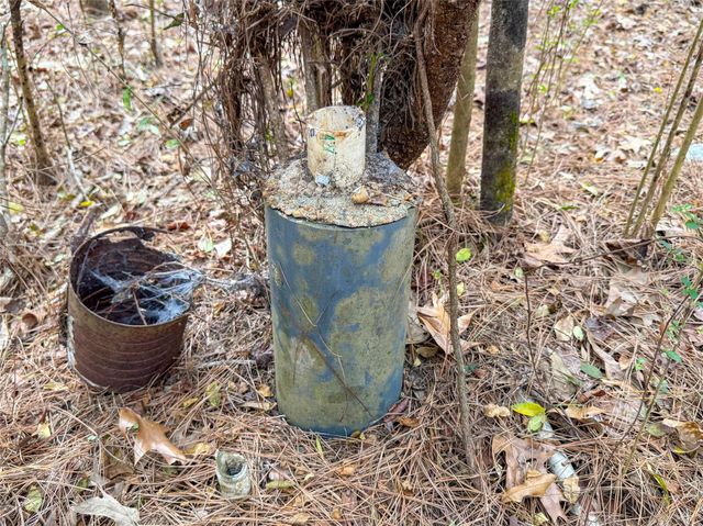 TBD County Rd 4876, Dayton, TX 77535