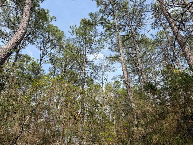 TBD County Rd 4876, Dayton, TX 77535