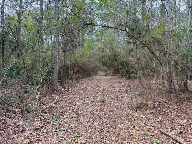 TBD County Rd 4876, Dayton, TX 77535