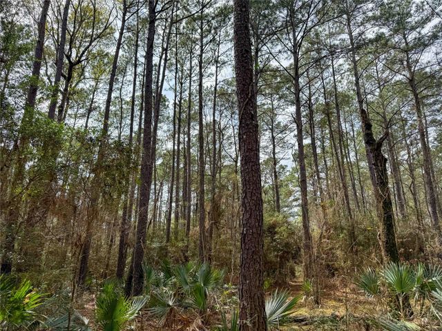 TBD County Rd 4876, Dayton, TX 77535