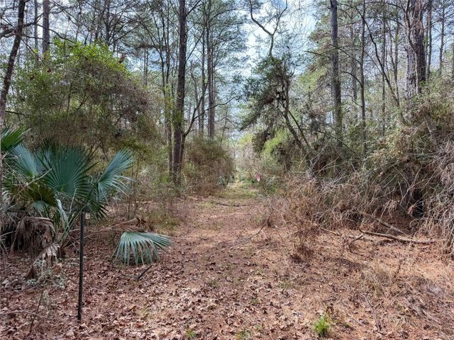 TBD County Rd 4876, Dayton, TX 77535