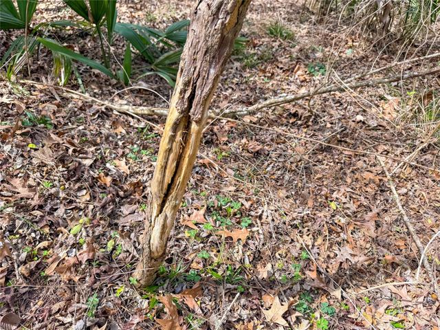 TBD County Rd 4876, Dayton, TX 77535