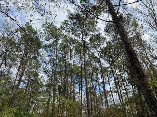 TBD County Rd 4876, Dayton, TX 77535