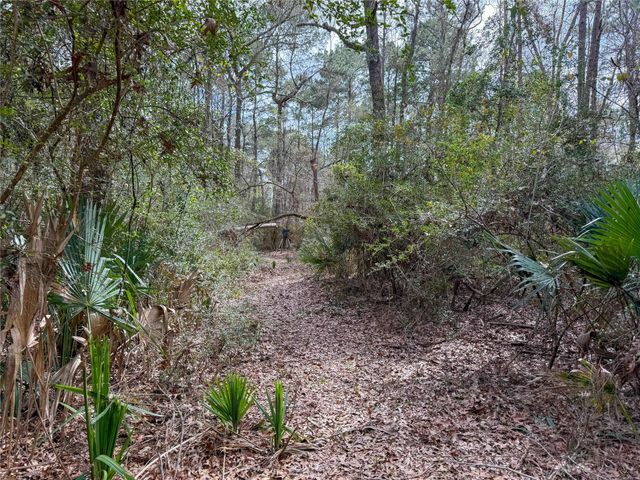 TBD County Rd 4876, Dayton, TX 77535