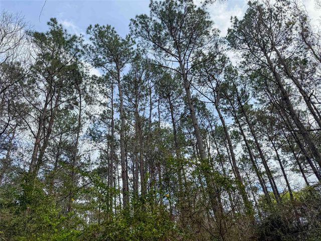 TBD County Rd 4876, Dayton, TX 77535