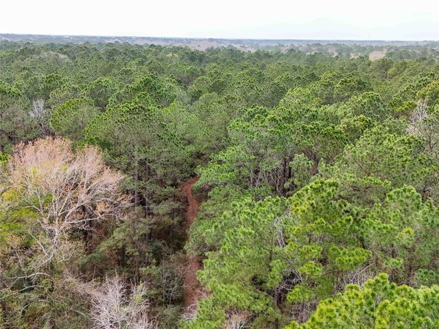 TBD County Rd 4876, Dayton, TX 77535