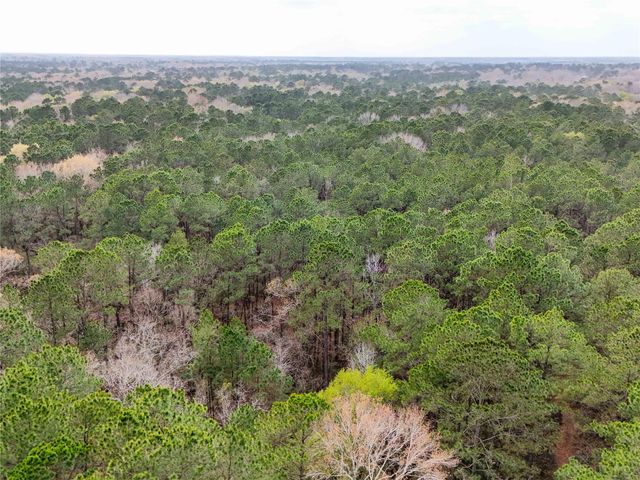 TBD County Rd 4876, Dayton, TX 77535