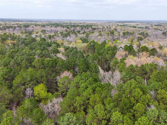 TBD County Rd 4876, Dayton, TX 77535