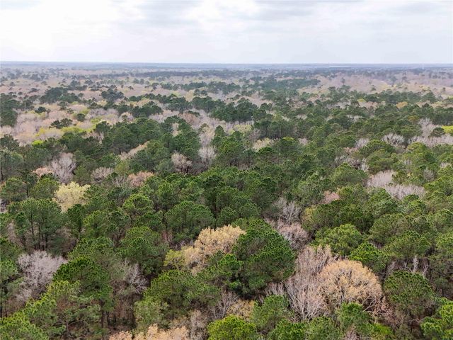 TBD County Rd 4876, Dayton, TX 77535