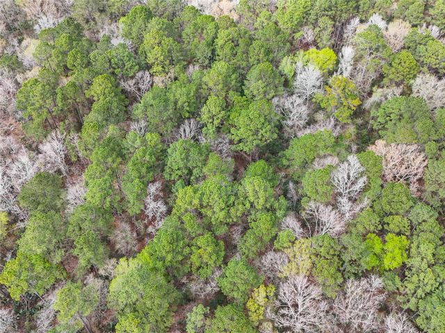 TBD County Rd 4876, Dayton, TX 77535