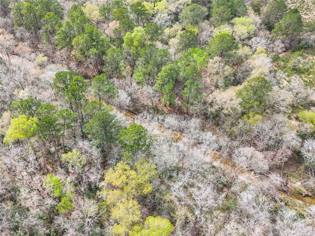 TBD County Rd 4876, Dayton, TX 77535