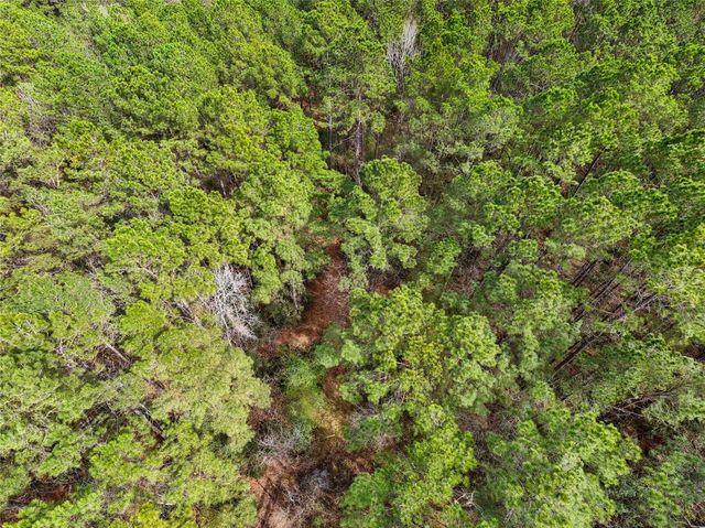 TBD County Rd 4876, Dayton, TX 77535