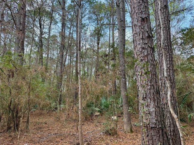 TBD County Rd 4876, Dayton, TX 77535