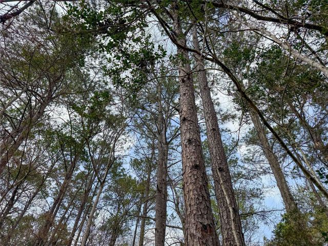 TBD County Rd 4876, Dayton, TX 77535