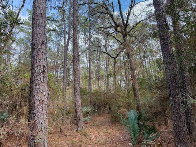 TBD County Rd 4876, Dayton, TX 77535