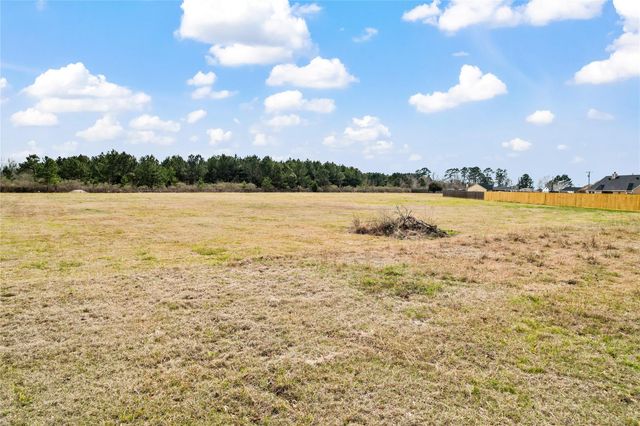 L-139 Fm-3126, Livingston, TX 77351