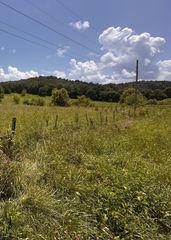 167A Bradford Rd, Fayetteville, TN 37334