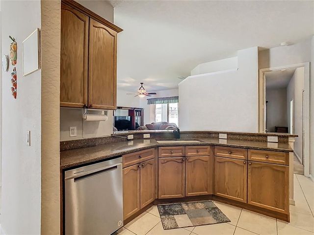 2920 RIVER BIRCH DRIVE, Kissimmee, FL 34741