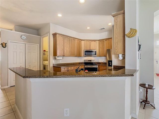 2920 RIVER BIRCH DRIVE, Kissimmee, FL 34741