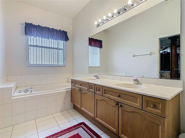 2920 RIVER BIRCH DRIVE, Kissimmee, FL 34741