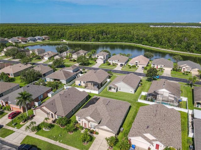 2920 RIVER BIRCH DRIVE, Kissimmee, FL 34741