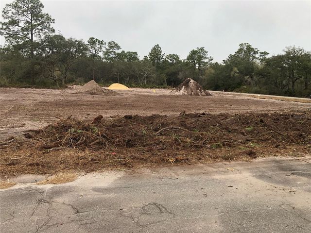 0 FISHER LOOP, Ocklawaha, FL 32179