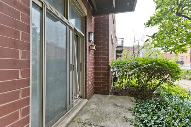 1515 S Halsted Street 214, Chicago, IL 60607