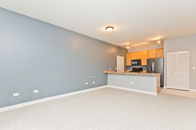1515 S Halsted Street 214, Chicago, IL 60607