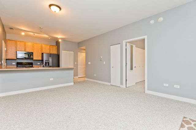 1515 S Halsted Street 214, Chicago, IL 60607